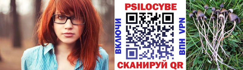 Псилоцибиновые грибы мухоморы  hydra tor  Бежецк  купить наркоту 